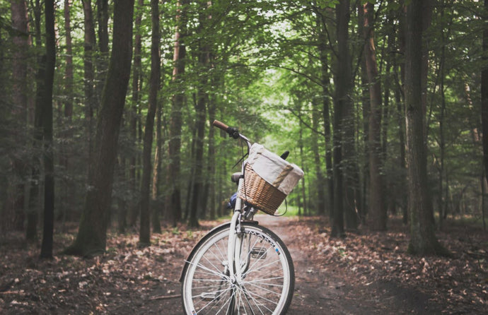 Hygge on Earth Day