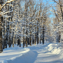 Load image into Gallery viewer, 2024 A Weekend Hygge Winter Retreat: &quot;Journey Within&quot;
